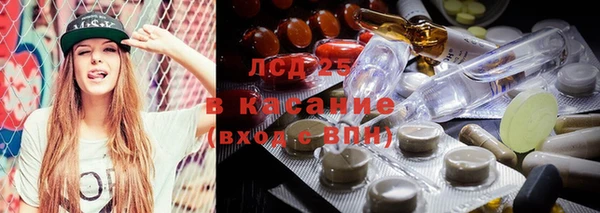 стаф Вяземский
