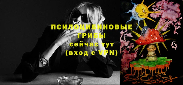 стаф Вяземский